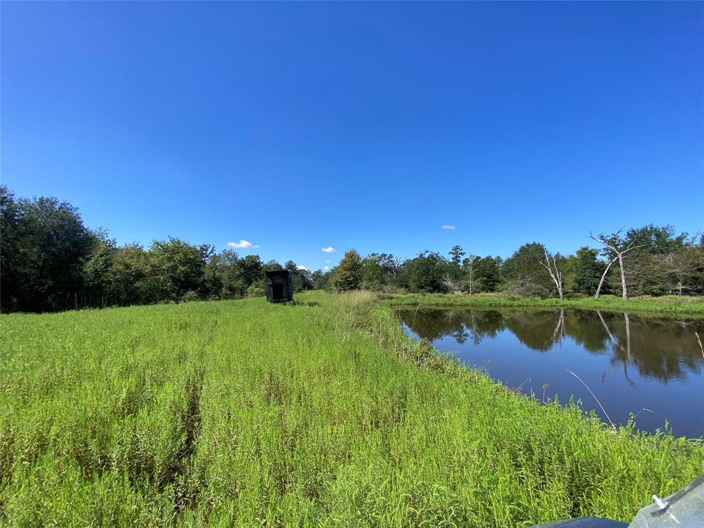 170 ACRES County Road 146, Bedias, Texas image 24