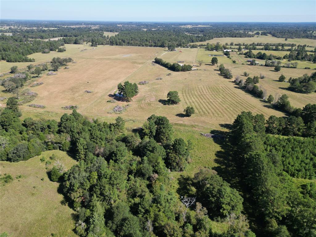 170 ACRES County Road 146, Bedias, Texas image 32