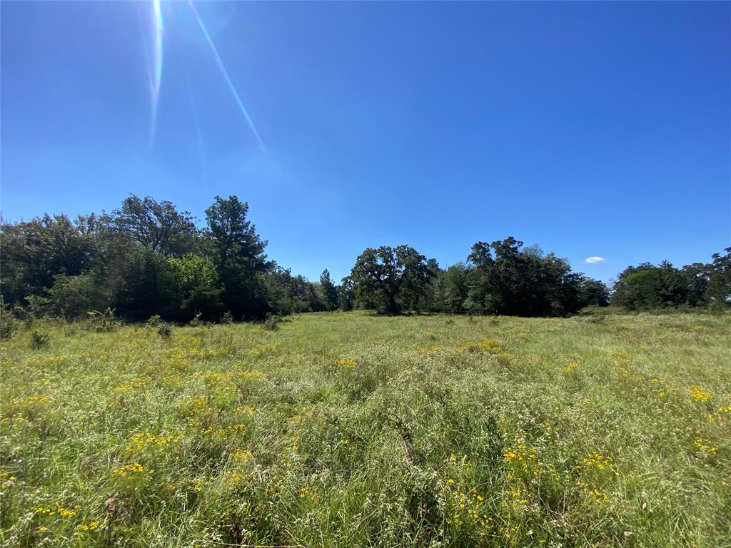 170 ACRES County Road 146, Bedias, Texas image 40