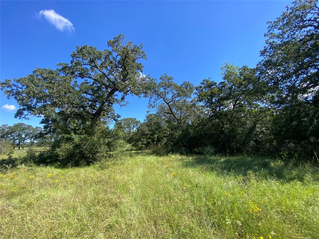 170 ACRES County Road 146, Bedias, Texas image 33