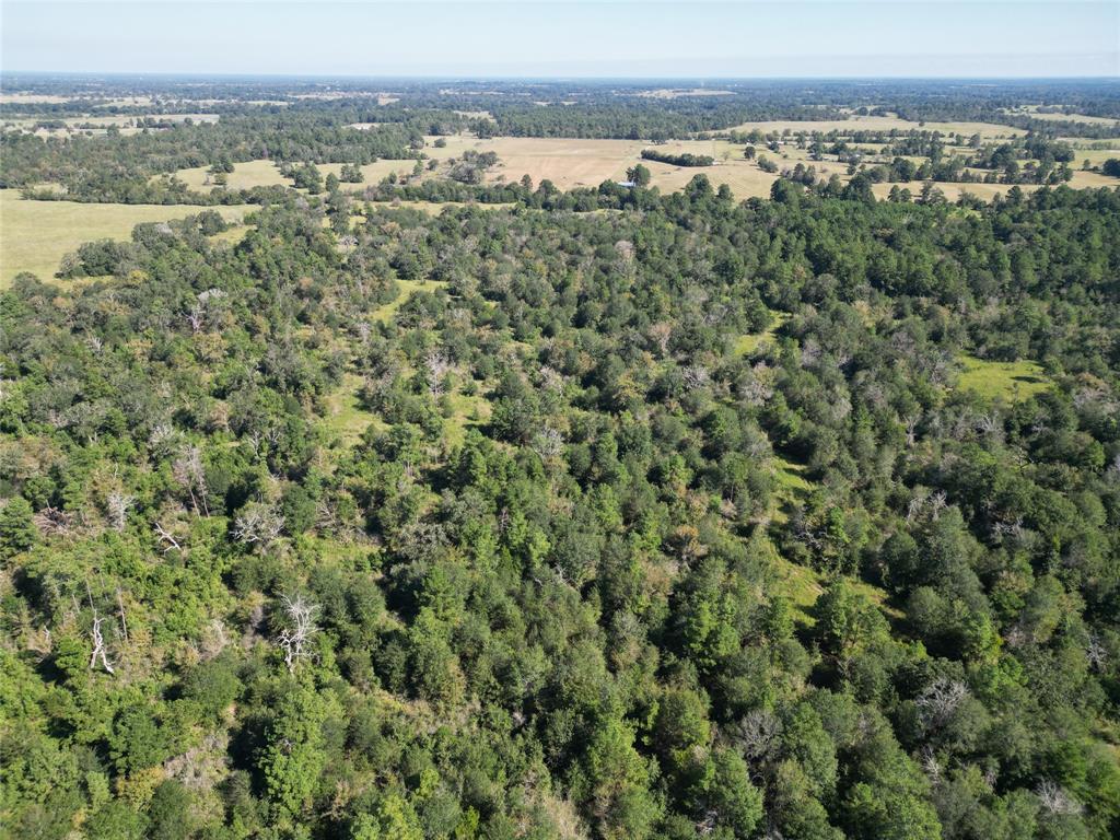 170 ACRES County Road 146, Bedias, Texas image 28