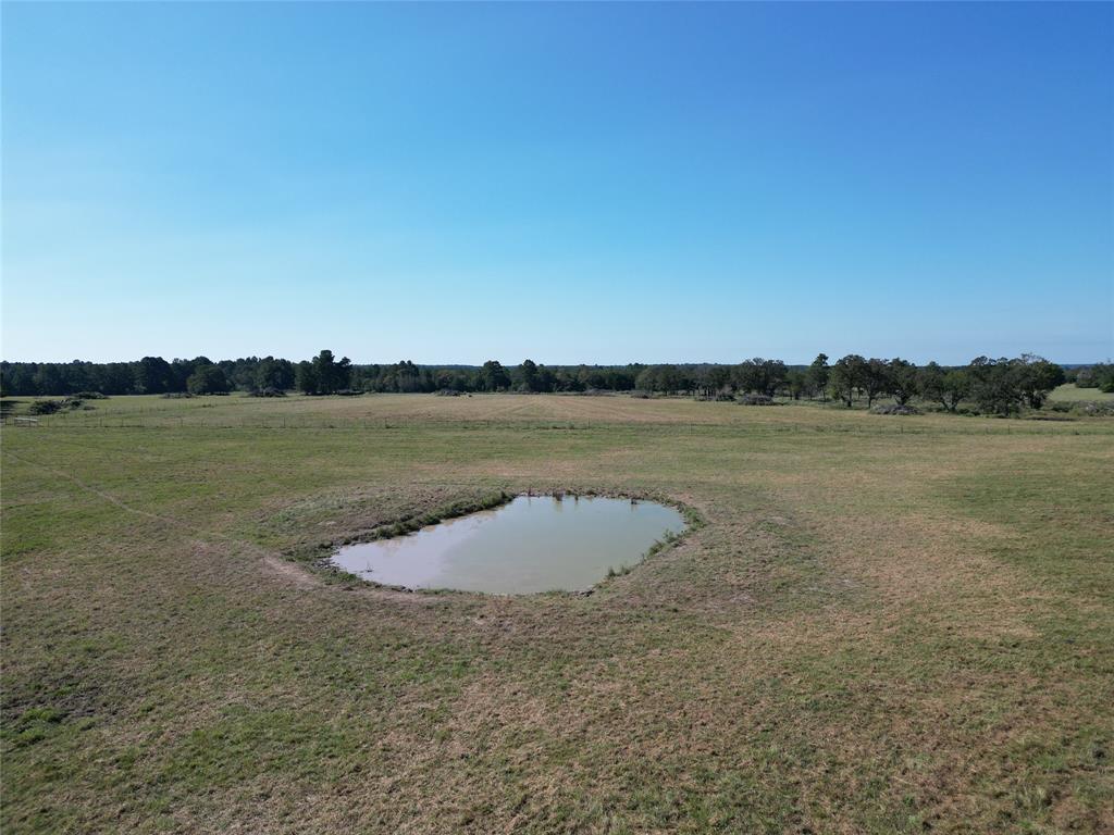 170 ACRES County Road 146, Bedias, Texas image 21