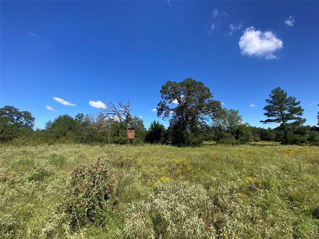 170 ACRES County Road 146, Bedias, Texas image 46