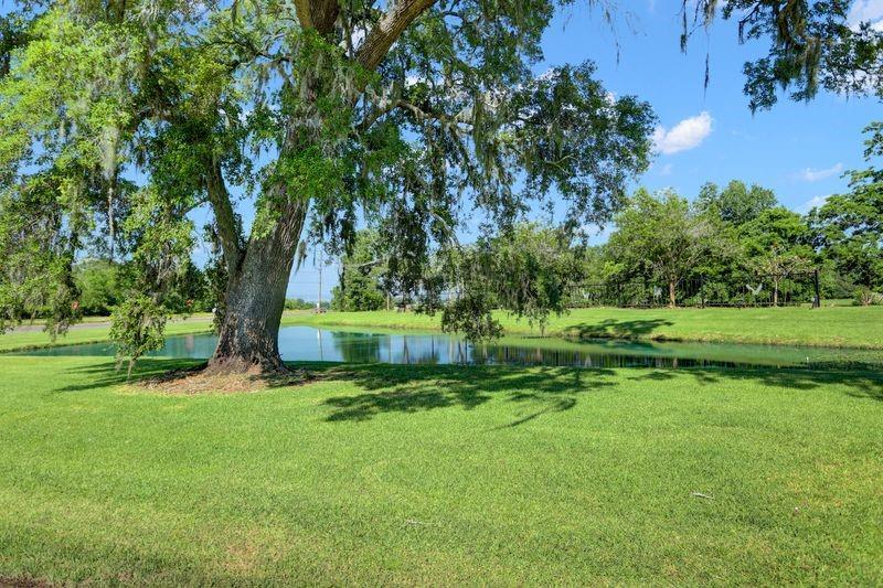 125 Stage Coach Trail, Angleton, Texas image 1