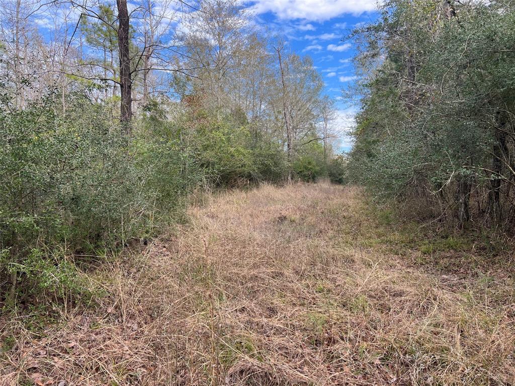 TBD Highway 59 Loop, Livingston, Texas image 5