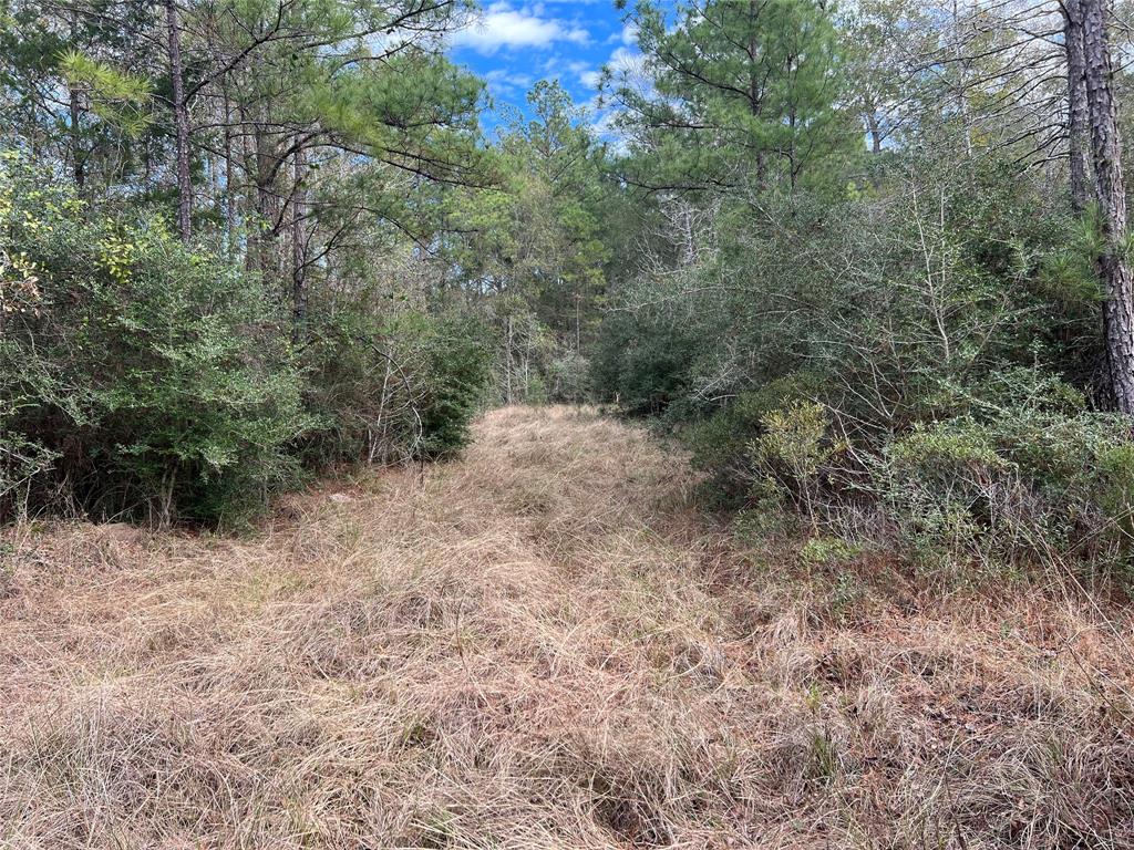 TBD Highway 59 Loop, Livingston, Texas image 4