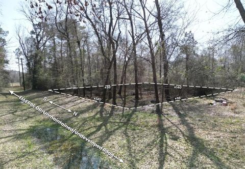 Vacant Land For Sale - 00 Ellerbe Drive<br/> Onalaska, TX 77360