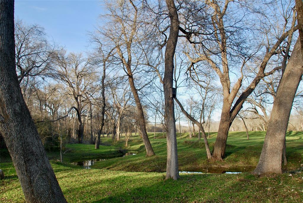 900 Old Lytton Springs Road, Lockhart, Texas image 6