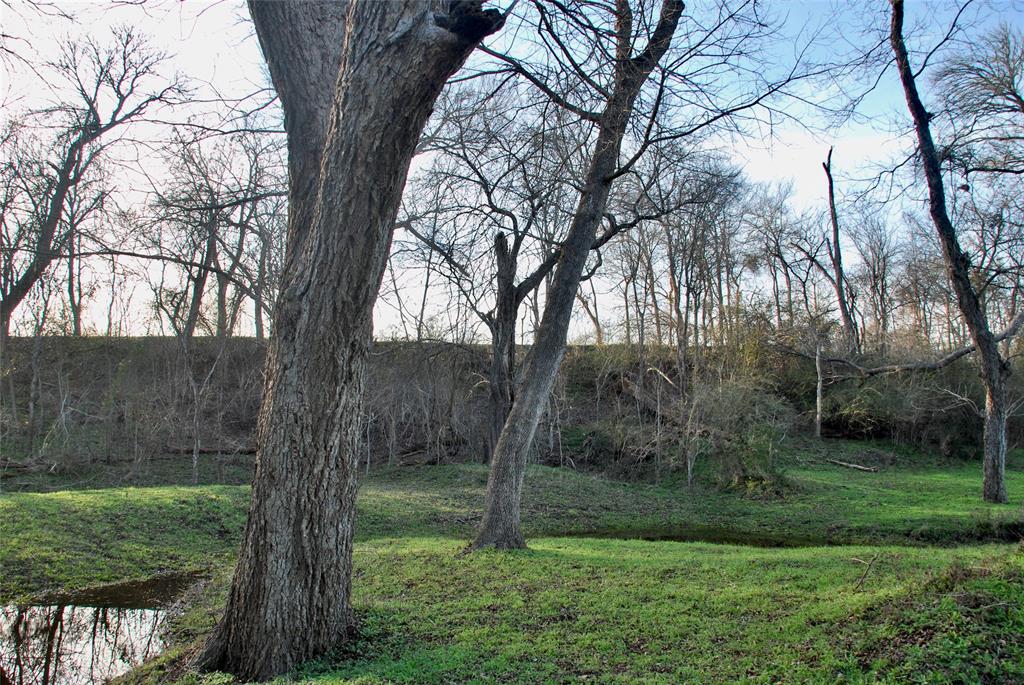 900 Old Lytton Springs Road, Lockhart, Texas image 27