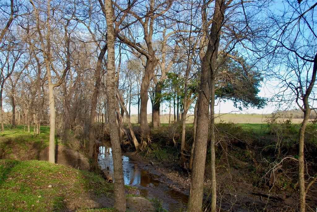 900 Old Lytton Springs Road, Lockhart, Texas image 23