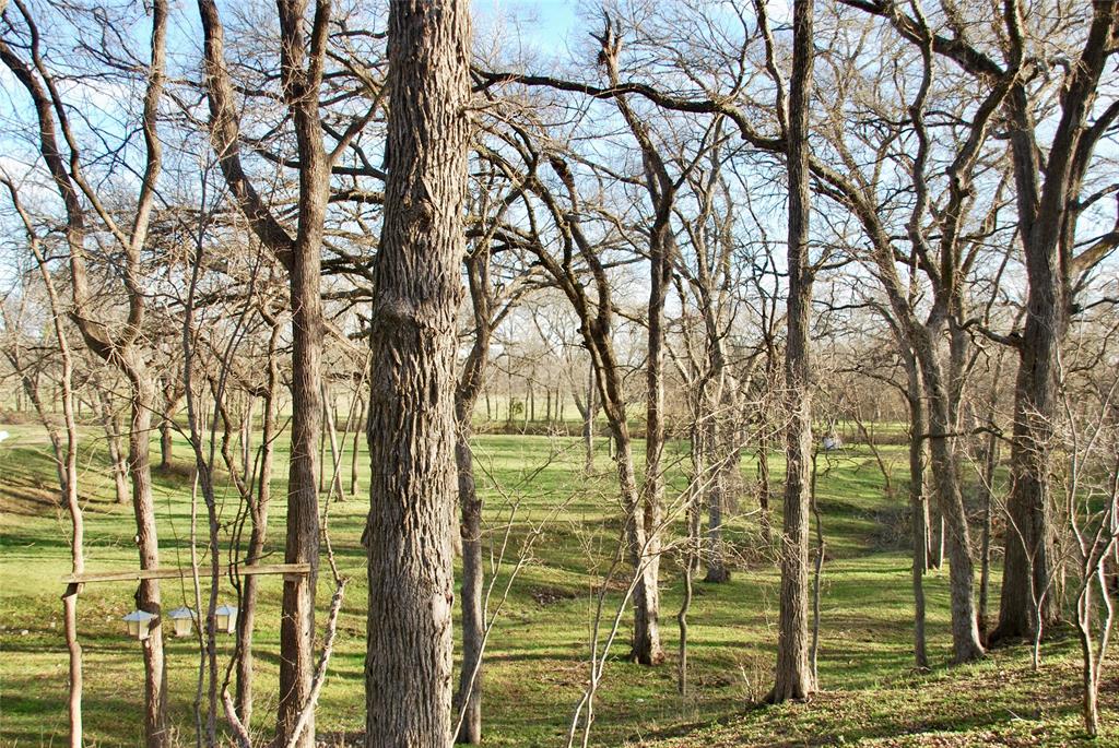 900 Old Lytton Springs Road, Lockhart, Texas image 10