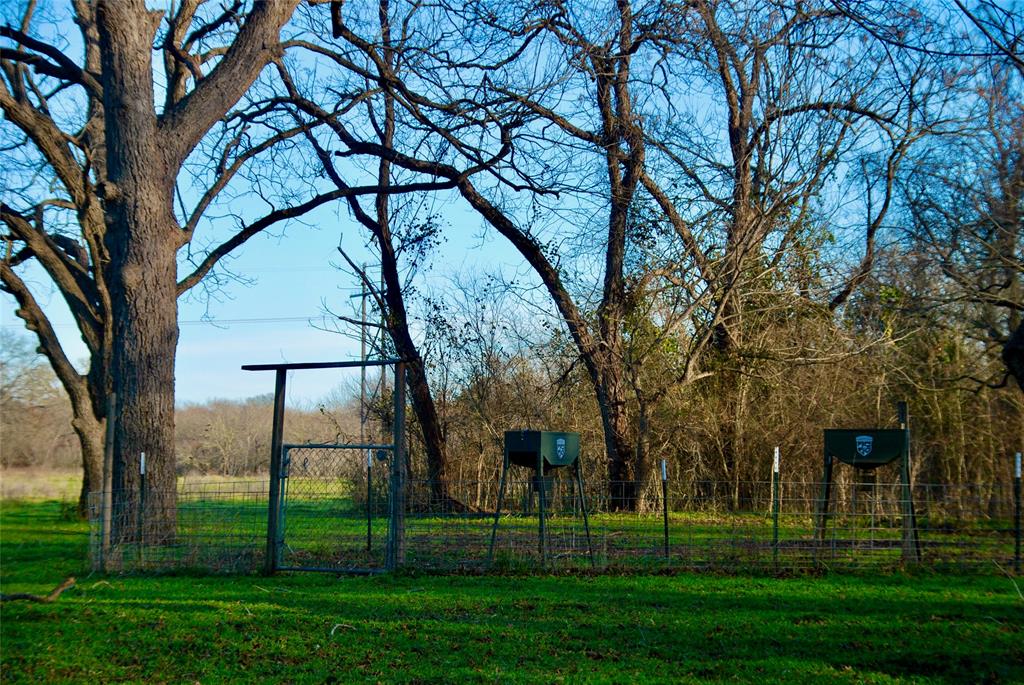 900 Old Lytton Springs Road, Lockhart, Texas image 24