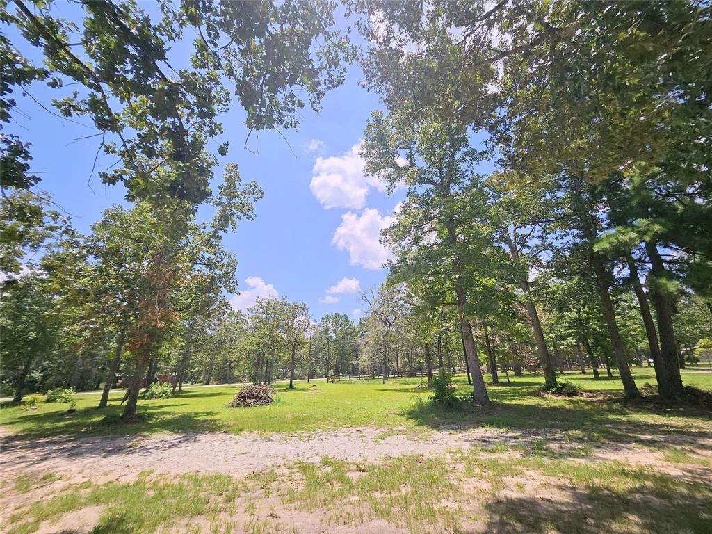 24862 Shady Oaks Boulevard, Montgomery, Texas image 2