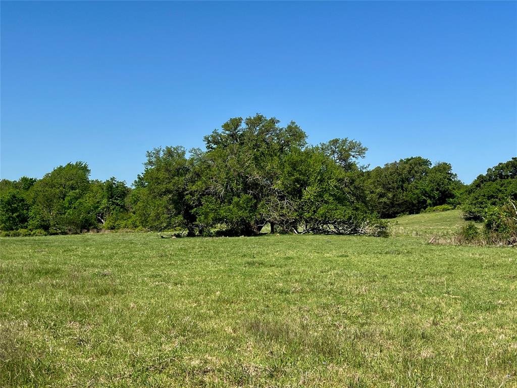 1635 Burnside Rd, Fayetteville, Texas image 1