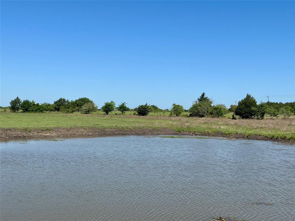 1635 Burnside Rd, Fayetteville, Texas image 5