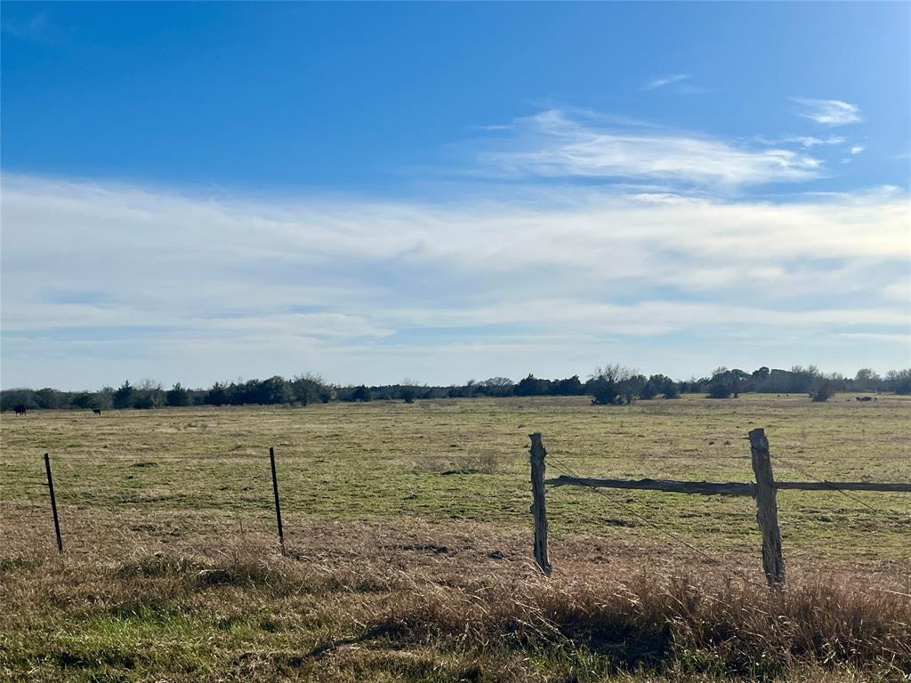 1635 Burnside Rd, Fayetteville, Texas image 4