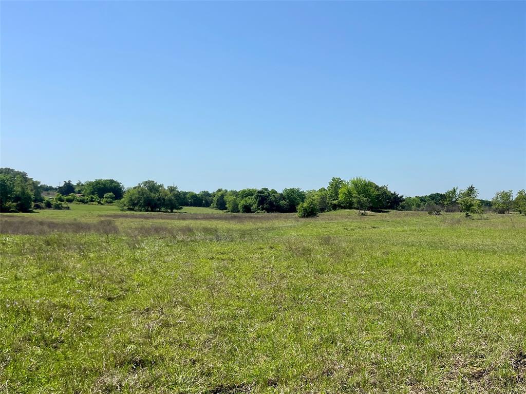 1635 Burnside Rd, Fayetteville, Texas image 8