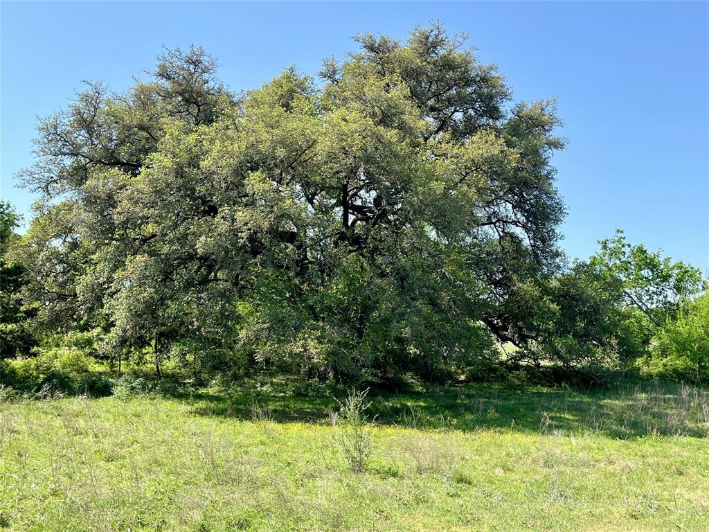 1635 Burnside Rd, Fayetteville, Texas image 12