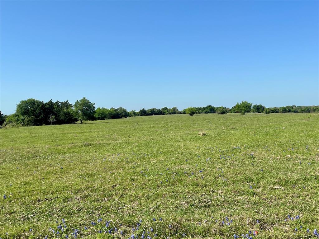 1635 Burnside Rd, Fayetteville, Texas image 6