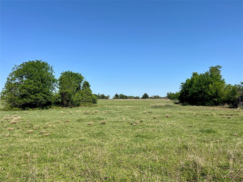 1635 Burnside Rd, Fayetteville, Texas image 14