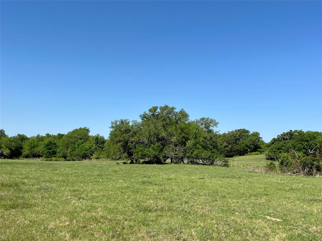 1635 Burnside Rd, Fayetteville, Texas image 7