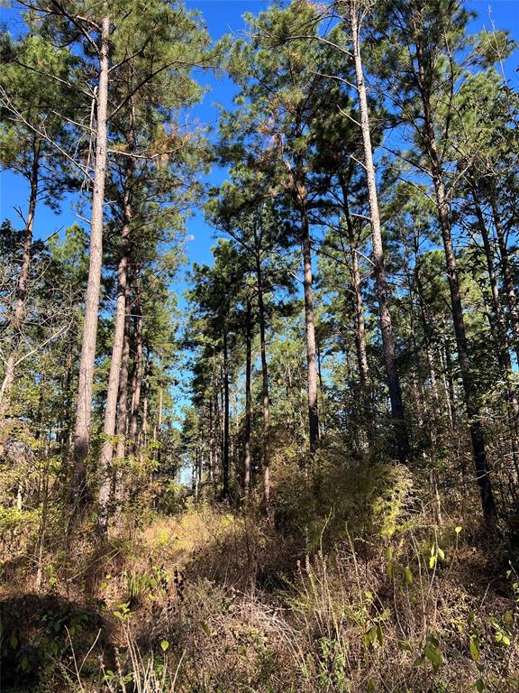00 Reeves Rd, Garrison, Texas image 15