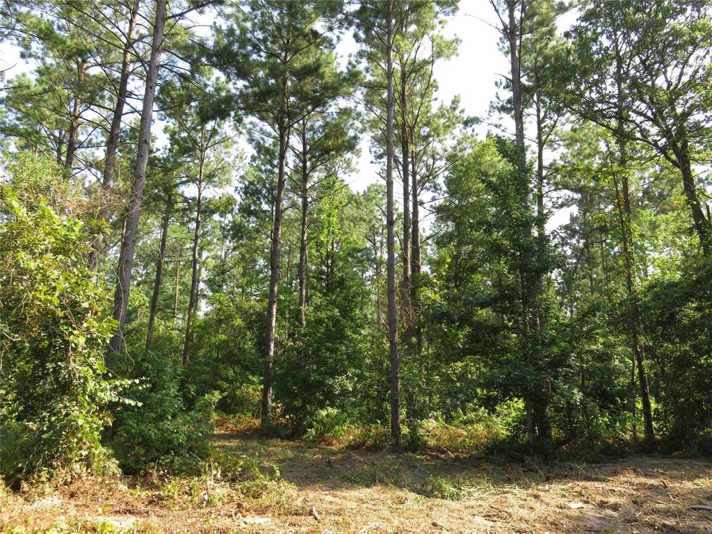 00 Reeves Rd, Garrison, Texas image 2