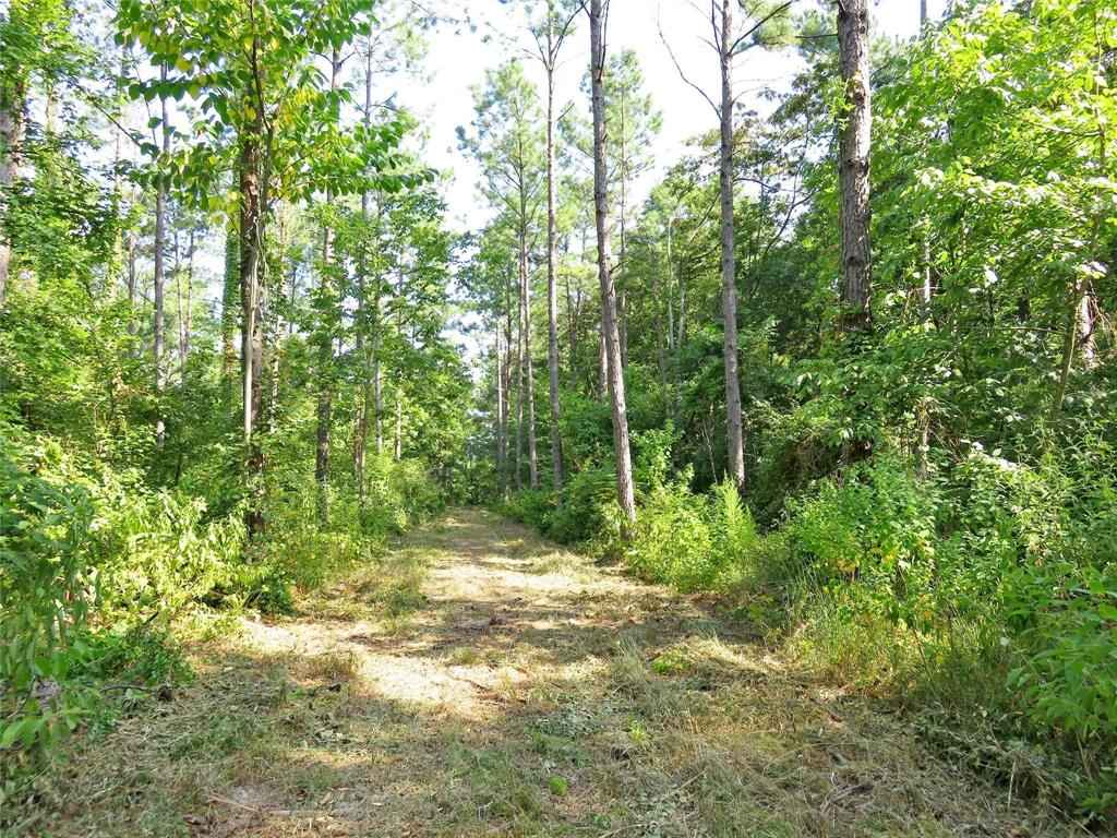 00 Reeves Rd, Garrison, Texas image 12