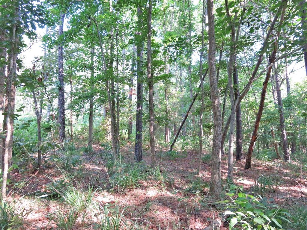 00 Reeves Rd, Garrison, Texas image 11