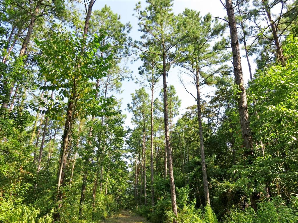 00 Reeves Rd, Garrison, Texas image 13