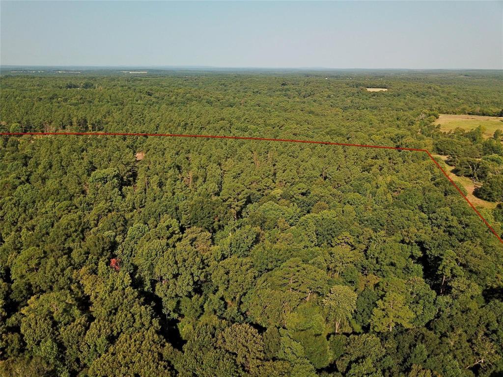00 Reeves Rd, Garrison, Texas image 7
