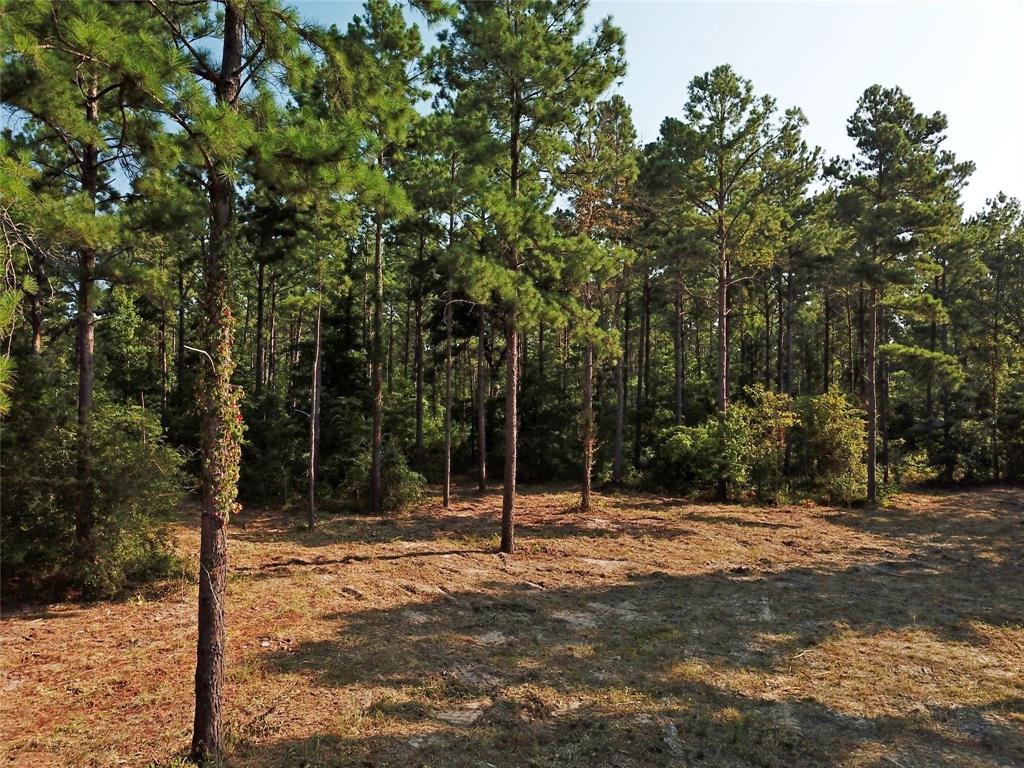 00 Reeves Rd, Garrison, Texas image 14