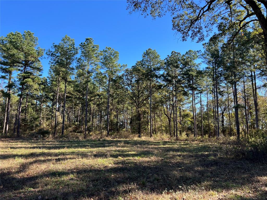 00 Reeves Rd, Garrison, Texas image 16