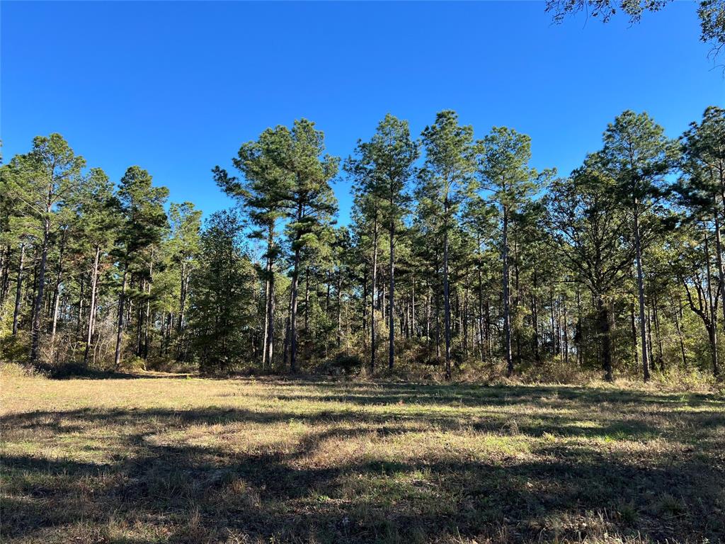 00 Reeves Rd, Garrison, Texas image 17
