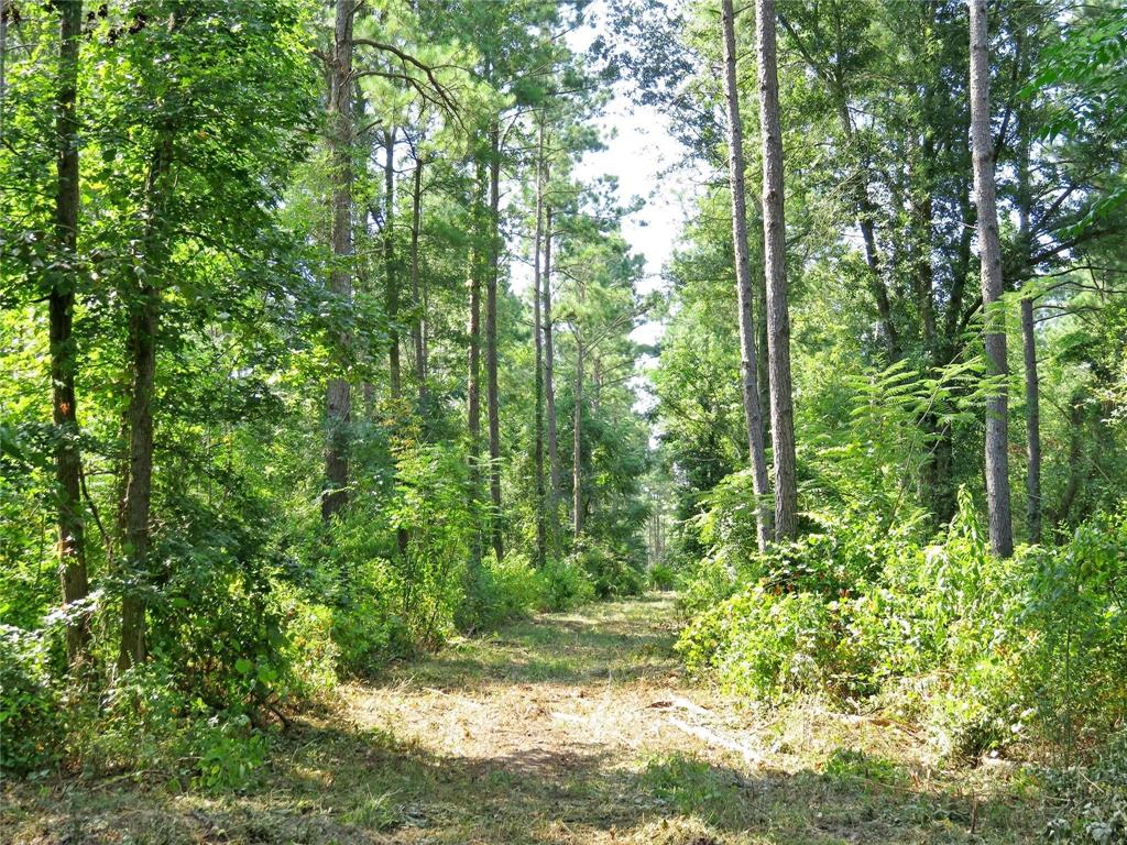 00 Reeves Rd, Garrison, Texas image 4