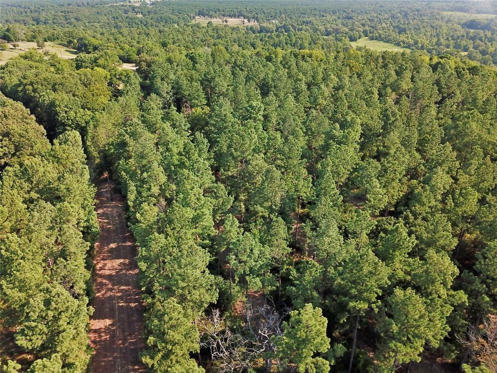 00 Reeves Rd, Garrison, Texas image 8