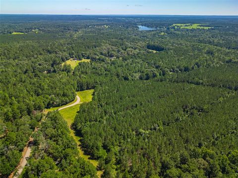 0 Fm-1137 Palestine TX 75801