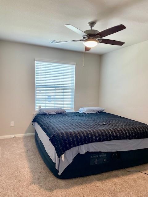 985 Harper Lane, Bryan, Texas image 13