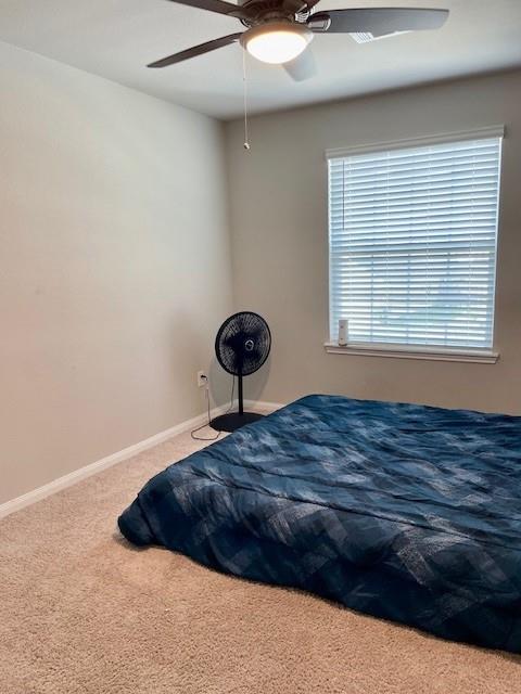 985 Harper Lane, Bryan, Texas image 14