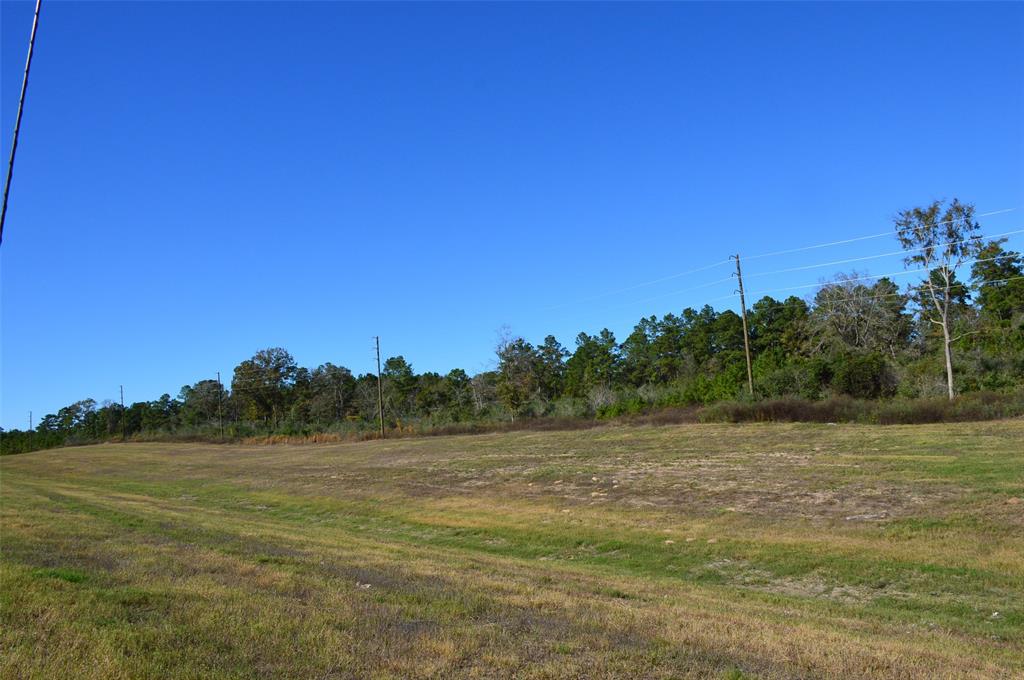 Tract #3 Sh 249, Navasota, Texas image 6