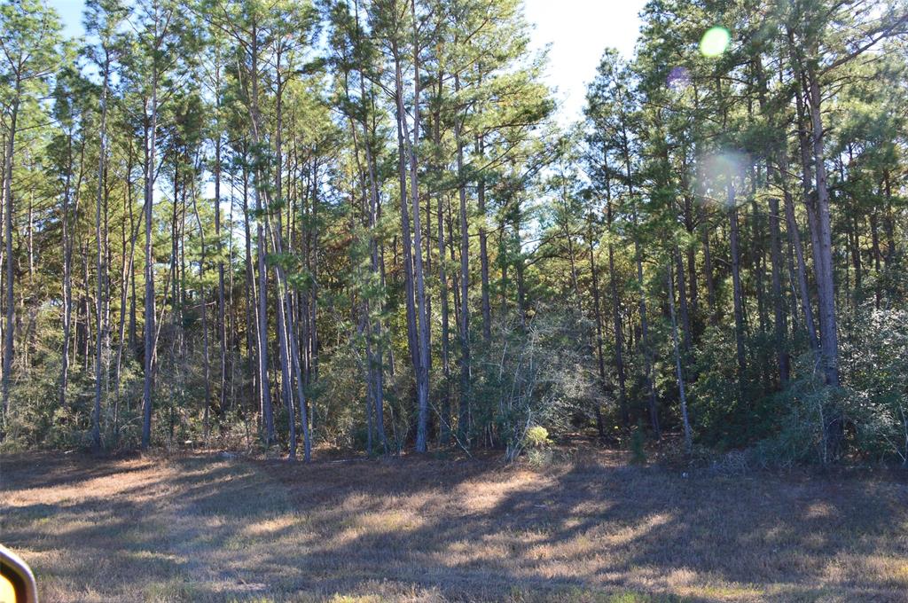 Tract #3 Sh 249, Navasota, Texas image 13