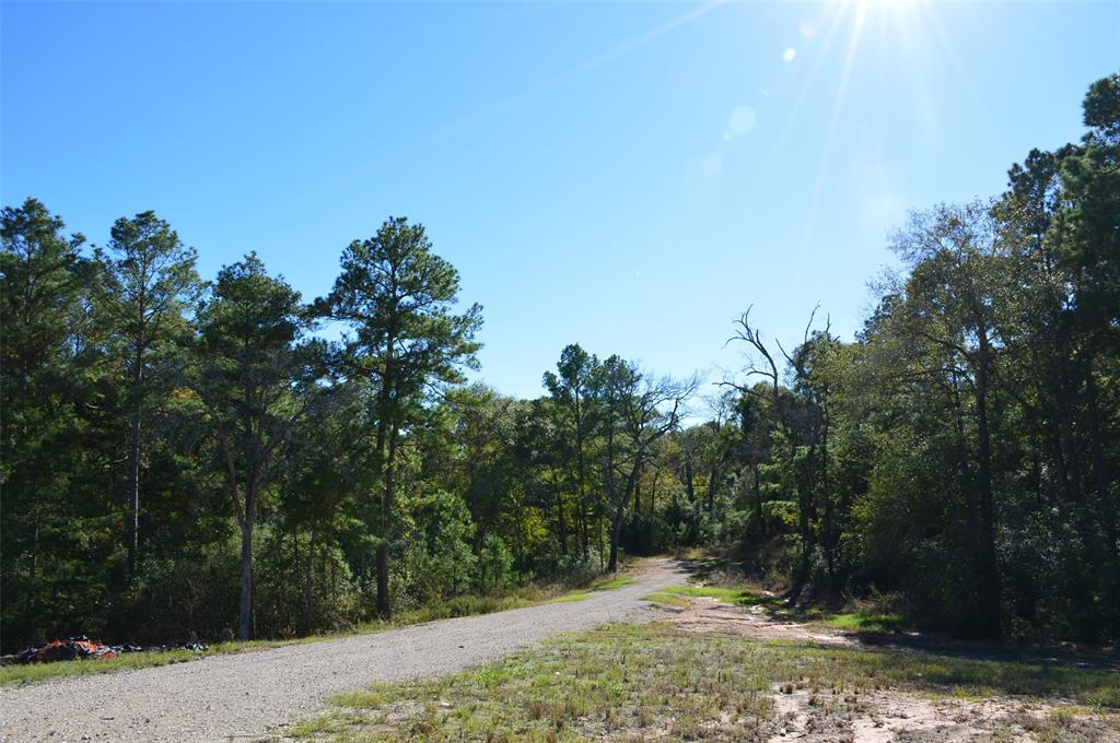 Tract #3 Sh 249, Navasota, Texas image 16