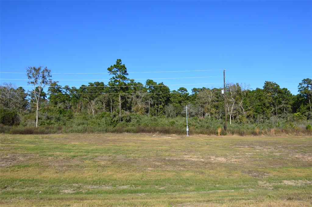 Tract #3 Sh 249, Navasota, Texas image 5