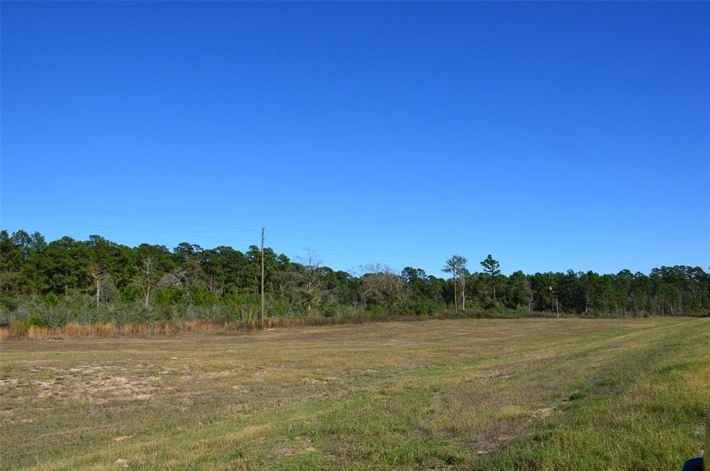 Tract #3 Sh 249, Navasota, Texas image 9