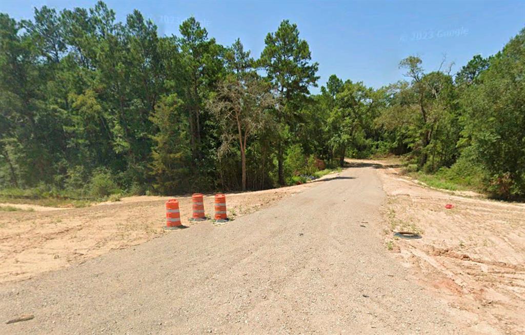 Tract #3 Sh 249, Navasota, Texas image 1