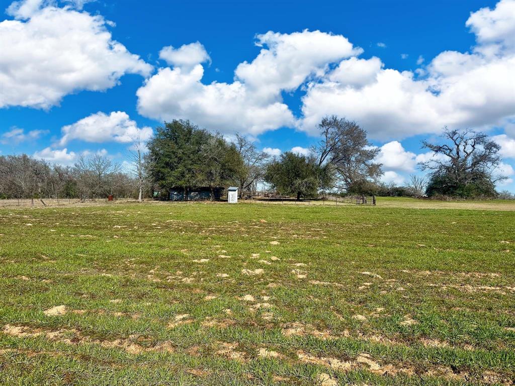 TBD Cr 295, Oakwood, Texas image 40