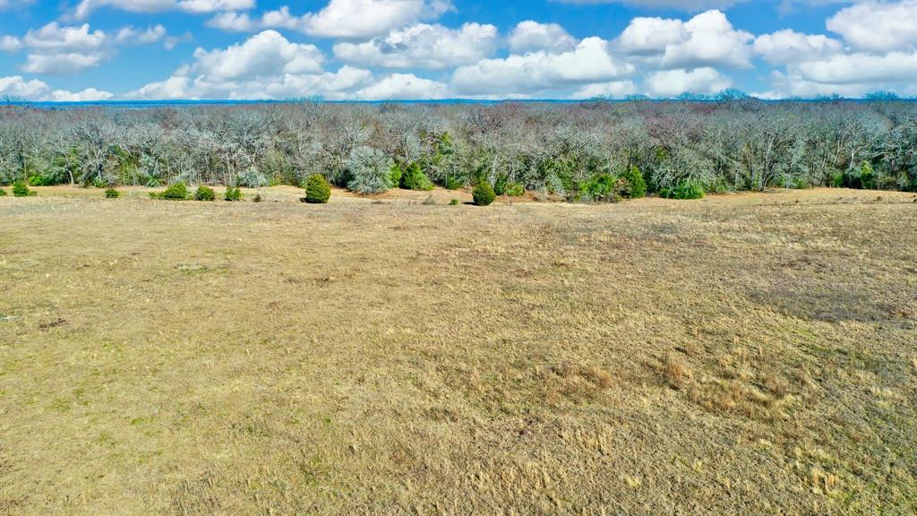 TBD Cr 295, Oakwood, Texas image 20