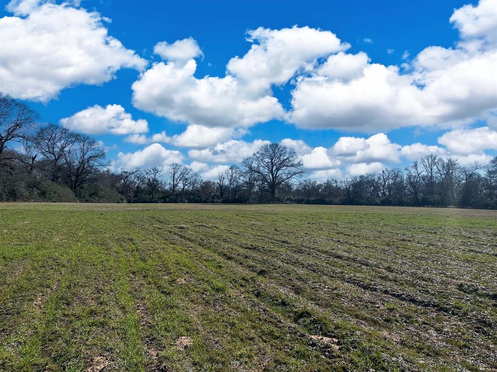 TBD Cr 295, Oakwood, Texas image 19