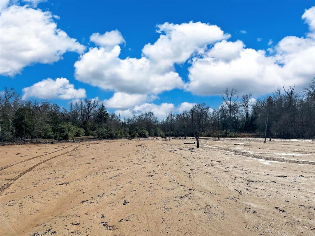 TBD Cr 295, Oakwood, Texas image 45