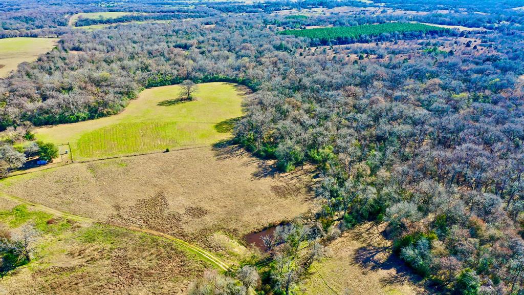 TBD Cr 295, Oakwood, Texas image 5